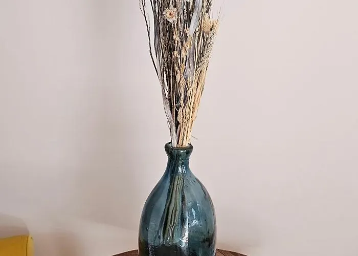 D'hotes De Charme L'evasida Les Echappees Belles 住宿加早餐酒店 Antignac