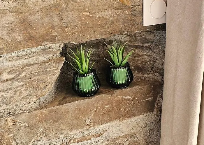 住宿加早餐酒店 D'hotes De Charme L'evasida Les Echappees Belles Antignac